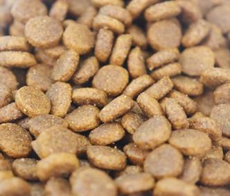 Extruded Kibbles