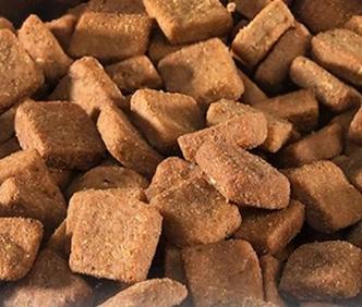 Oven Baked Kibble